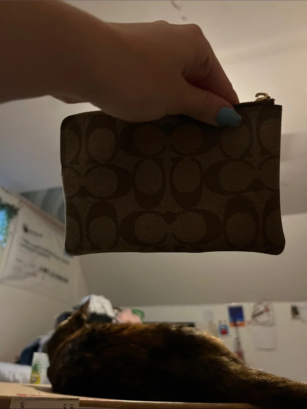 Coach Brown Signature Canvas Zip Pouch with Gold Logo